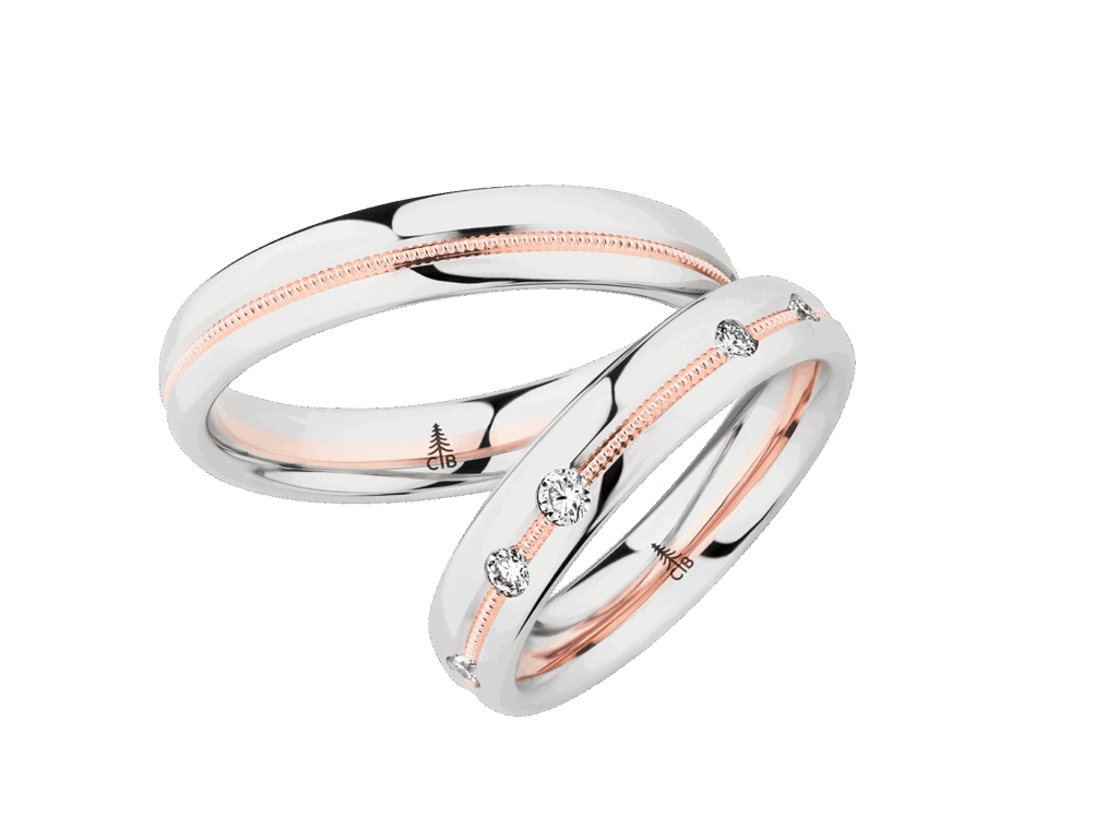 Zweifarbige Bicolor Eheringe von Otto Parr in Gießen